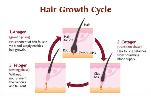 Beauty Town The Unisex Salon and Academy Bilaspur | Beauty Salon | Beauty academy Bilaspur Chhattisgarh